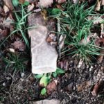Naturalne sposoby na przyjemny zapach w całym domu