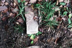 Naturalne sposoby na przyjemny zapach w całym domu
